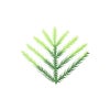 造花/平立かずら