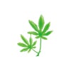 造花/二ッ葉紅葉緑