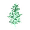 造花/桧葉大