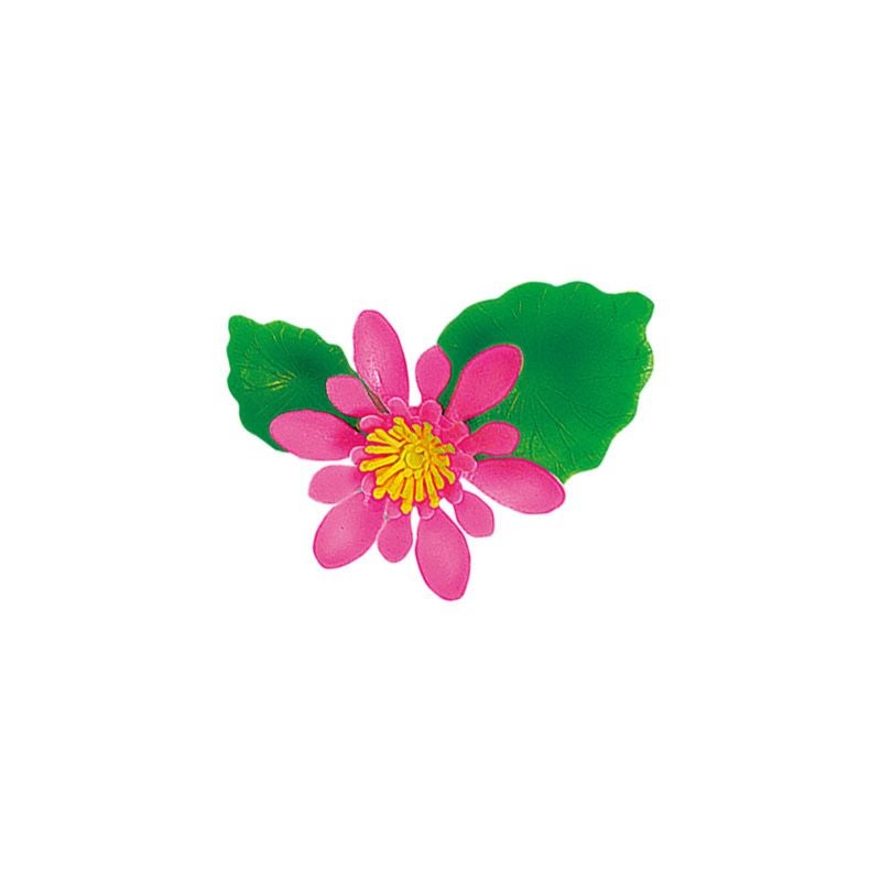 造花/ハス