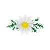 造花/菊の花白